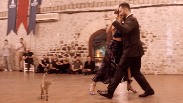 Ilgin Tetikcan and Ahmet Gezen dance No hay tierra como la mía at Izmir Tango Tale 2023